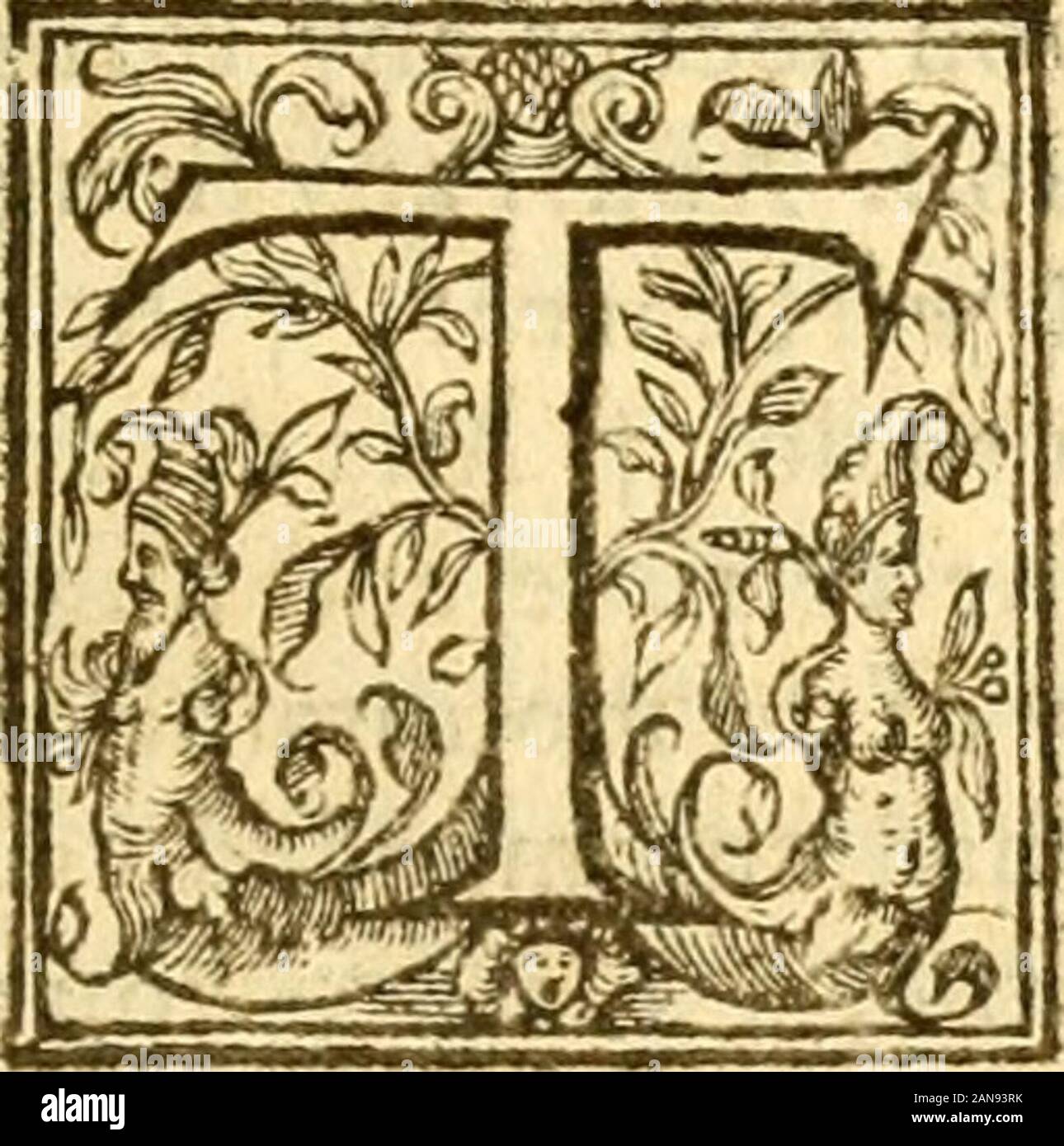 La Bibbia Holie : fedelmente tradotta in inglese, fuori della autentica LatinDiligently conferito con l'Ebraico, Greeke, e altre edizioni in lingue divers ... . El e Labano e Haferorh,dove vi è verie molto oro :t eleucn daics dal monte Horeb dal vayof del monte Seir per Cadesbarne. f Il 3 fouuuh ycure, il eleuenth moneth , il giorno firft del mo-Antille fpake Moyfes ai figli di Ifracial thingcs che 4 ourLordhadcomm-indedhim a{ay vntothcm; f dopo thathe hadftrokeSehonkingof il Amorrheites , che dvcltin Hefebon : e Og re di Bafan srhich abode in Afe- 5 Roth, e Foto Stock