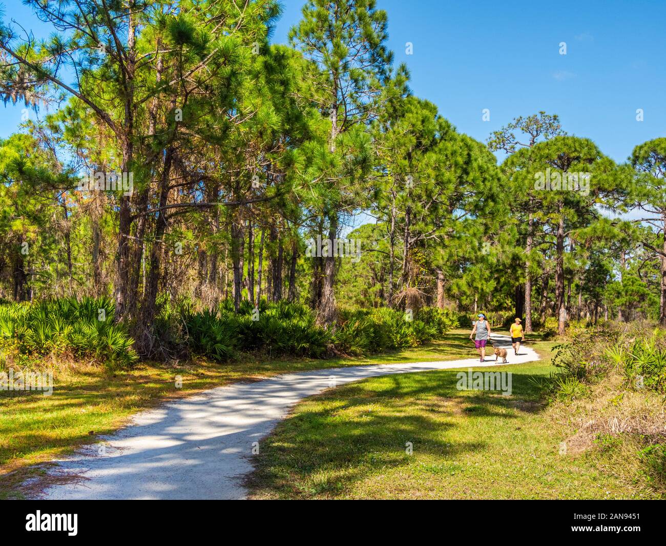 La gente che camminava sul sentiero di Eagle nel limone Bay Park in Englewood Florida, Stati Uniti Foto Stock
