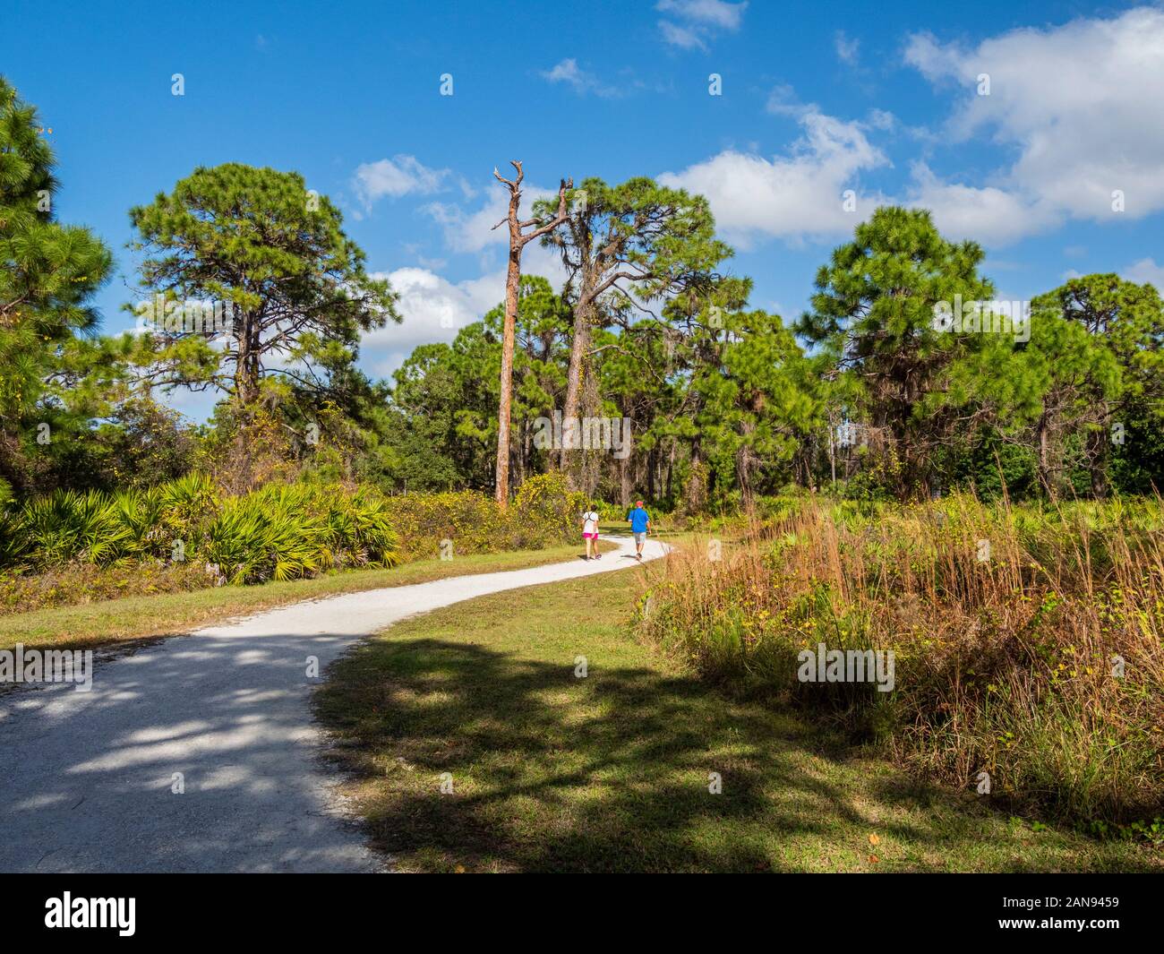 La gente che camminava sul sentiero di Eagle nel limone Bay Park in Englewood Florida, Stati Uniti Foto Stock
