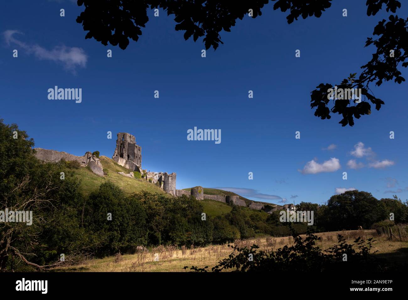 Corfe Castle seduto in cima a una collina Foto Stock