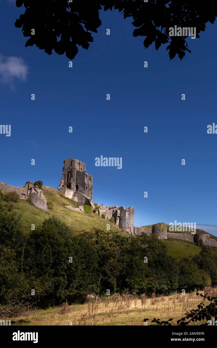 Corfe Castle seduto in cima a una collina Foto Stock