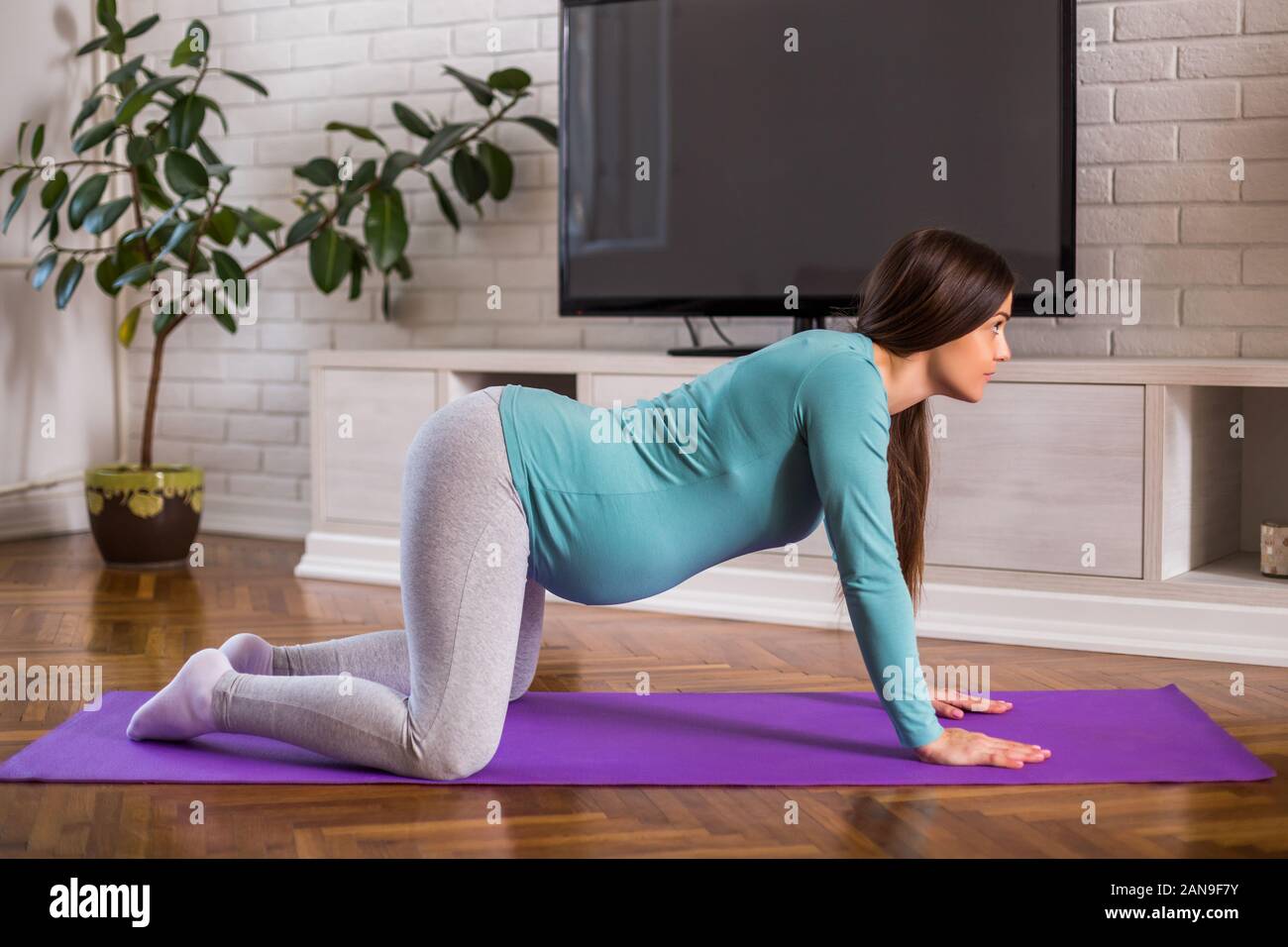 Bella donna incinta gode di esercizio di yoga a casa sua.Bitilasana/mucca rappresentano Foto Stock