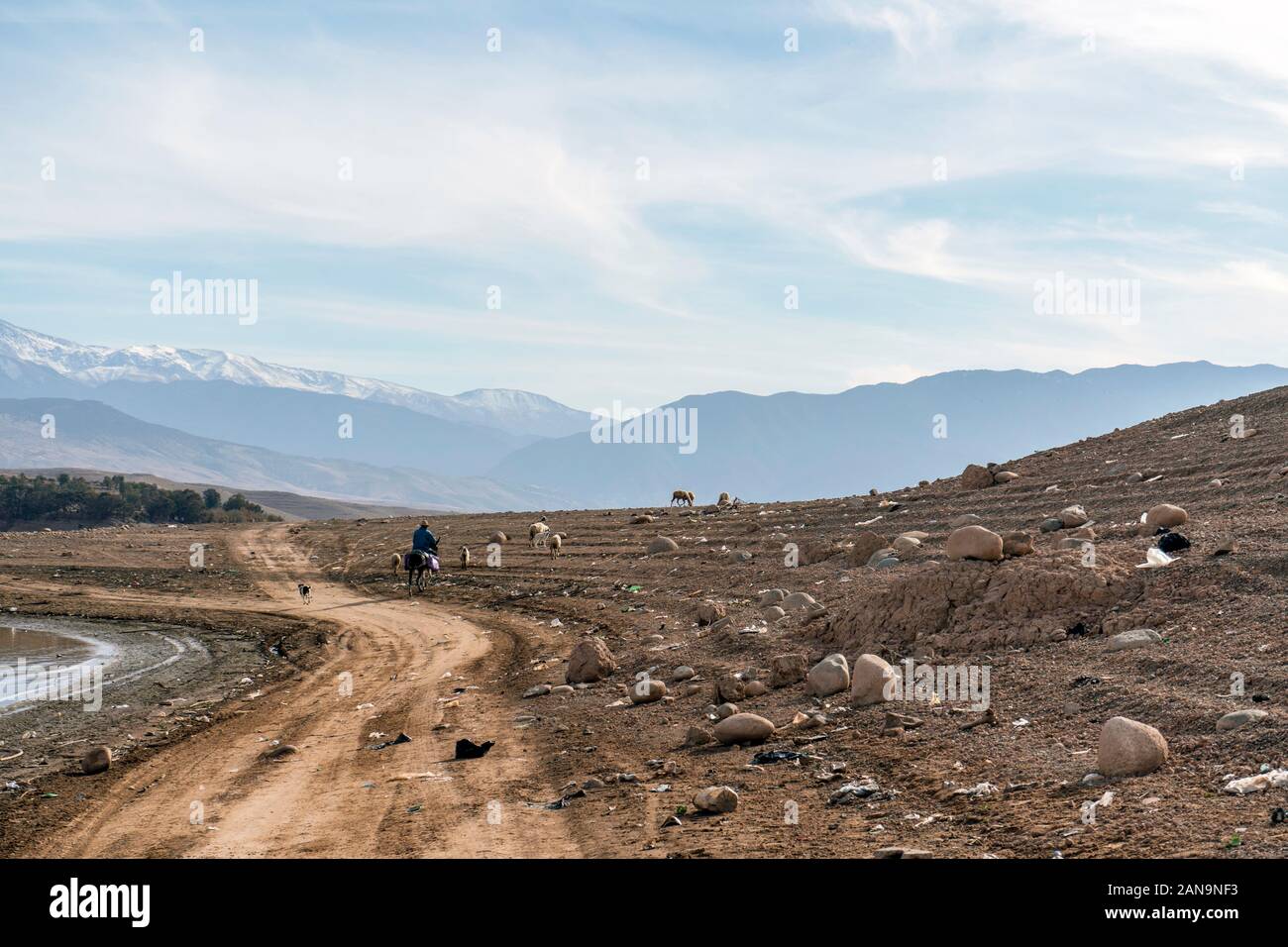 Un pastore sul cavallo seguenti gregge di pecore con montagne Atlas come sfondo Foto Stock