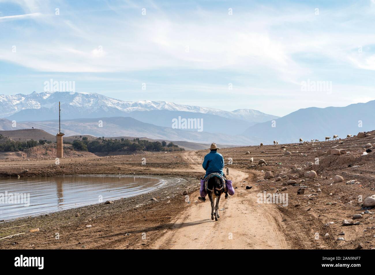 Un pastore sul cavallo seguenti gregge di pecore con montagne Atlas come sfondo Foto Stock
