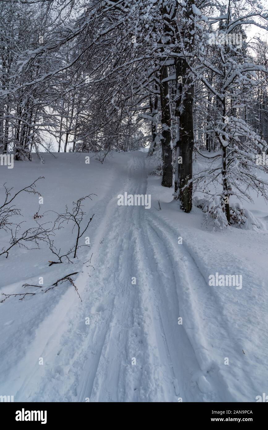 Paesaggio montano invernale con neve, alberi e trail con fasi di sci sul Beskid Zywiecki montagne bellow Wielka Racza hill sul polacco - frontiere slovacco Foto Stock