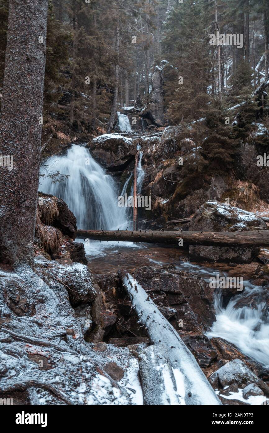 Cascata e cascata nella foresta Foto Stock