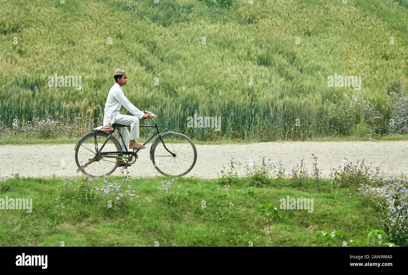 Giovane uomo ciclismo lentamente lungo una traccia approssimativa attraverso i campi in India del Nord Foto Stock