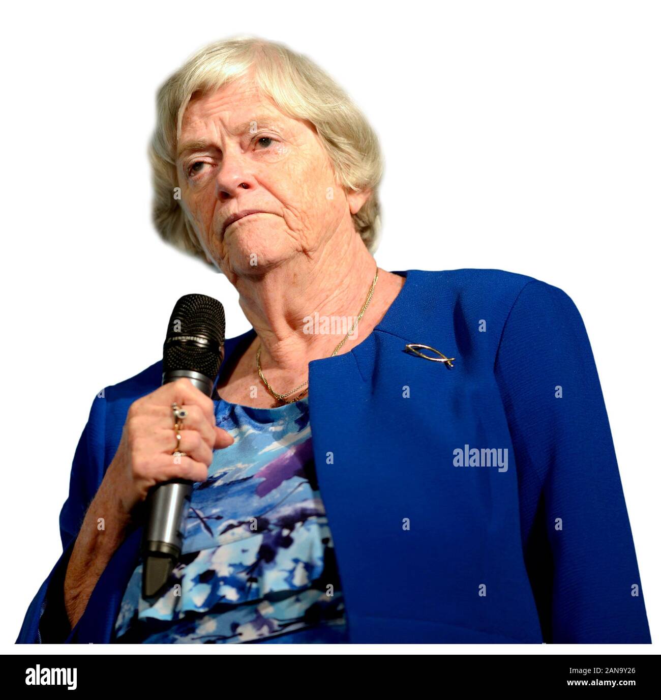 Ann Widdecombe MEP che parla a un raduno del Partito Brexit al Kent Event Center nella sua ex circoscrizione parlamentare di Maidstone, nel Kent, nel Regno Unito. 2019 Foto Stock