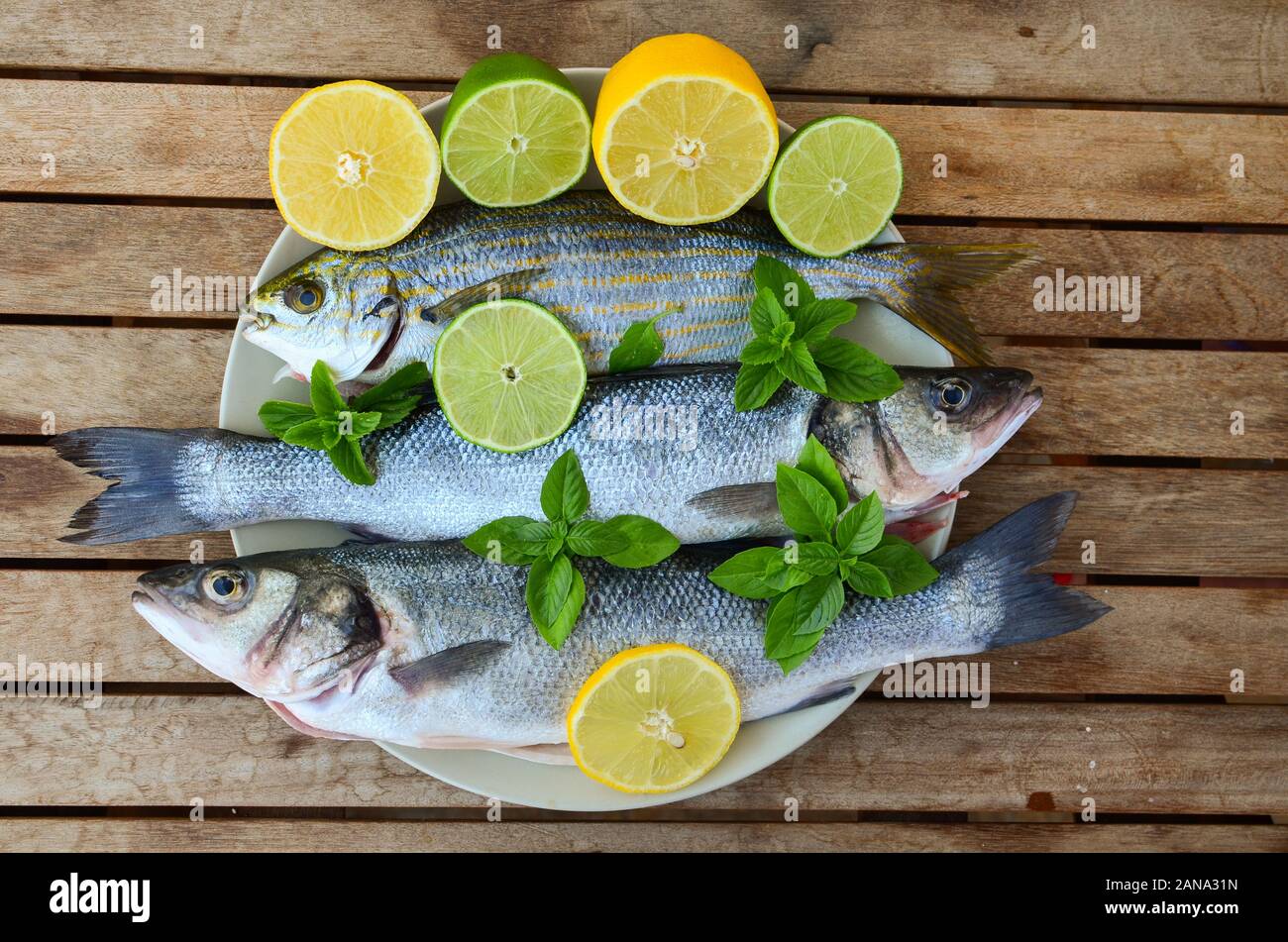 Freschi di spigola e salpe porgy con limone, calce, basilico e menta verde in porcellana bianca piastra, sul vecchio tavolo in legno, vista dall'alto Foto Stock