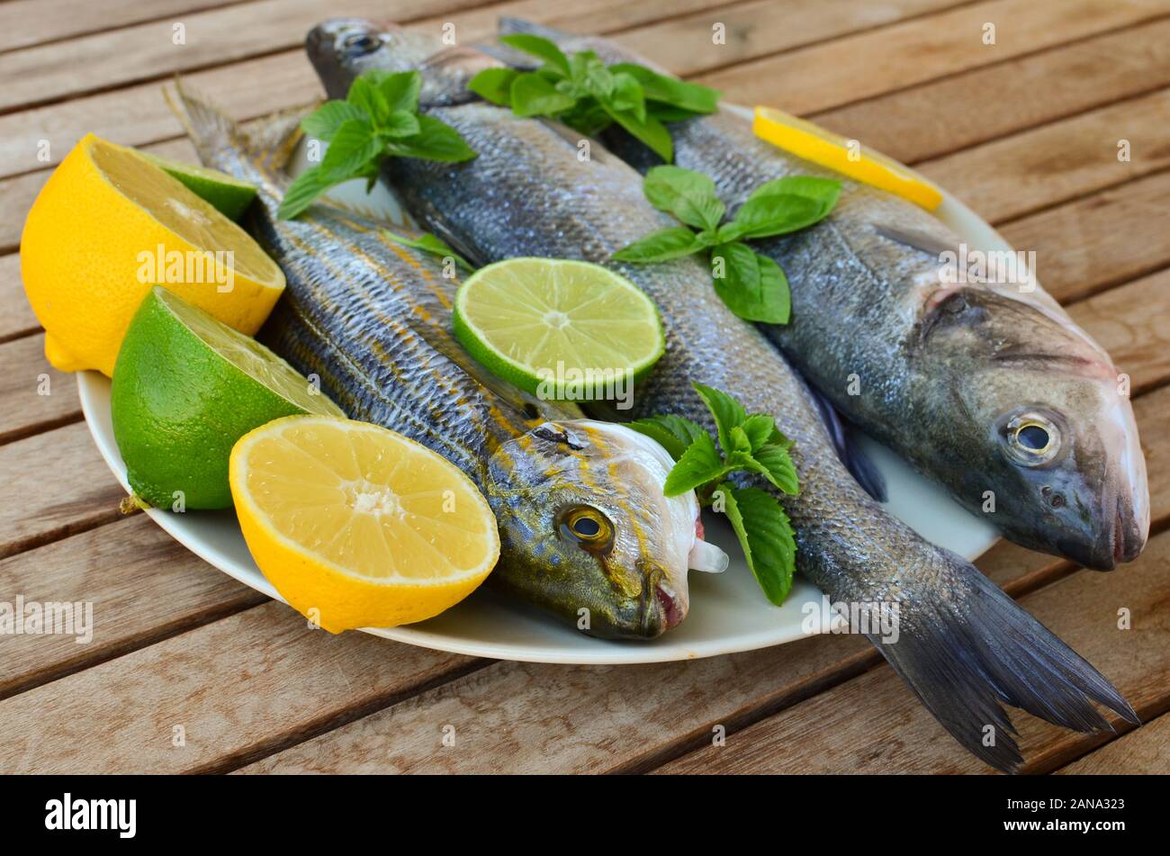 Freschi di spigola e salpe porgy con limone, calce, basilico e menta verde in porcellana bianca piastra, sul vecchio tavolo in legno, vista laterale Foto Stock
