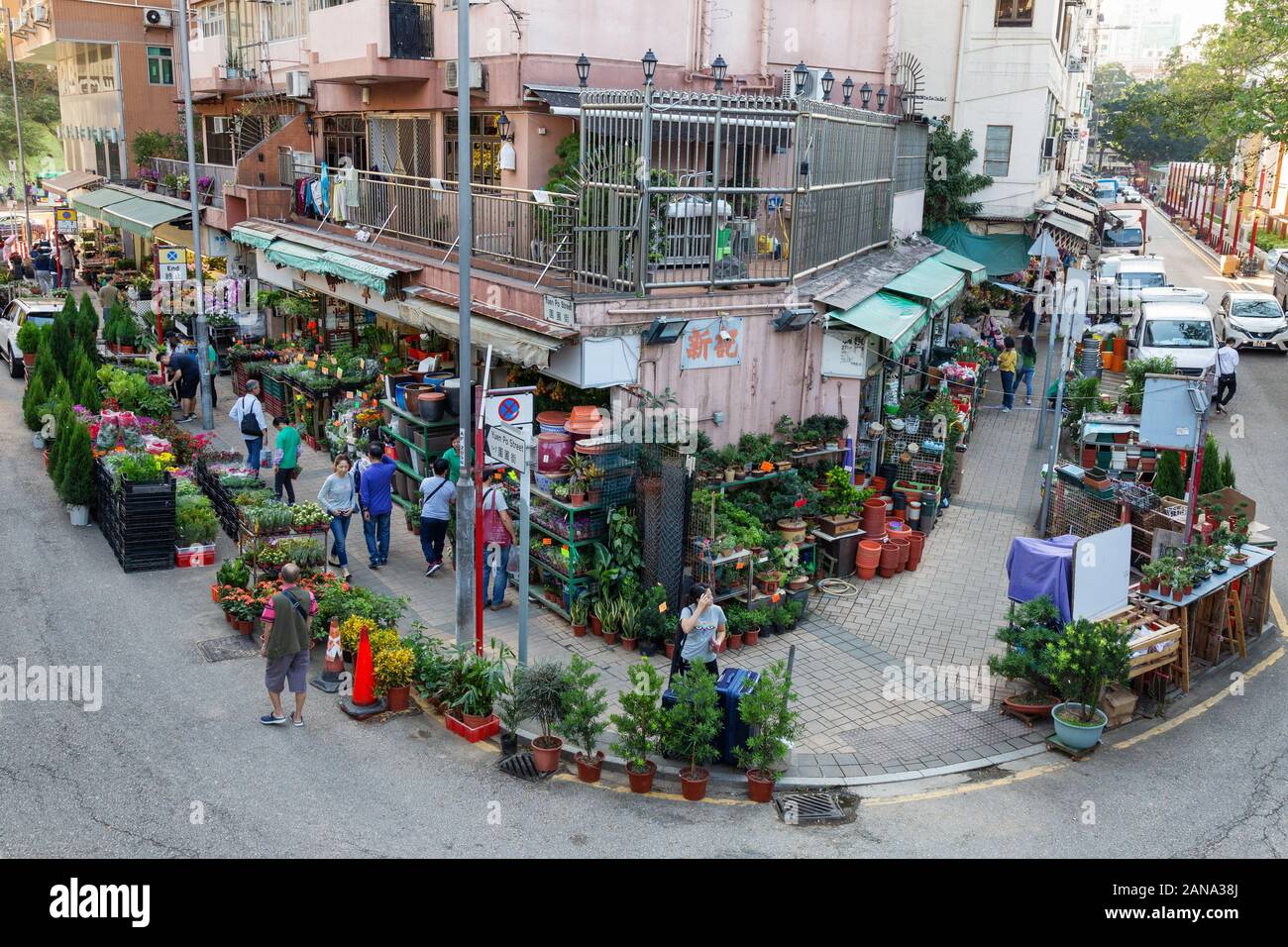 Hong Kong il mercato dei fiori - una vista da sopra del mercato dei fiori, il Mercato dei Fiori Street, Kowloon Hong Kong Asia Foto Stock