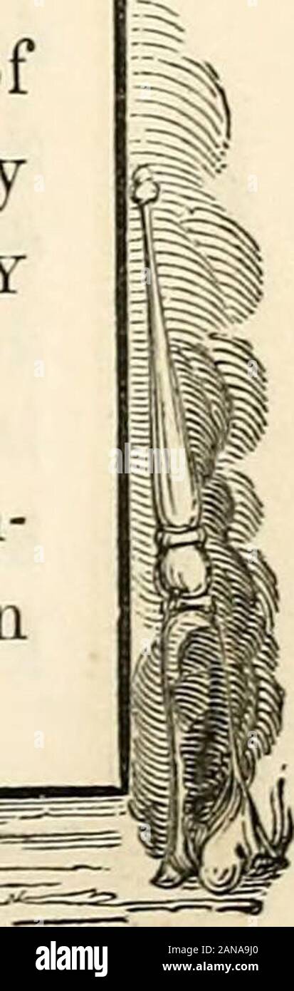 Relazione della Commissione delle disposizioni del Consiglio Comune di New York, del obsequies in memoria dell'Argilla HonHenry . , (953C(]i|ies di irillllin,,, tutti che soddisfa i tuoi occhi e orecchie che non è necessaryfor me di menzionare l'occasione. Il nostro capotribù è morto.presso la capitale del nostro paese, nella città di Washington,tra le scene di quasi quaranta anni di lavoro, nell'armadio e nelle due camere del Congresso, lo spirito ofone chi siamo amatissimo, e la maggior parte profoundlyrespected, ha preso il suo volo verso il Dio che lo ha dato.morì pieno di anni e piena di onori. Il dolce musica Foto Stock