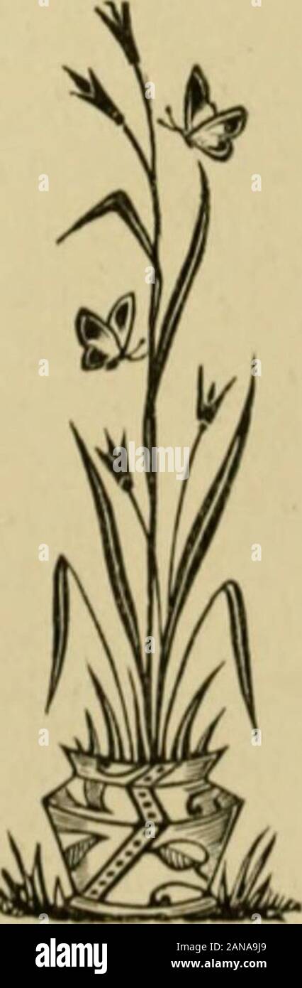 Storia della Contea di Hancock, Illinois, insieme con un profilo di storia dello Stato e di un digest di leggi dello Stato . Wessenbourn, whomwere nato il 2 bambini: Clarence L. e Thad C. (dec.) Il sig. W. stillpursues musica come il suo business, istruire le bande del neigh-borins: città. La storia di HANCOCK CUUNTV, 969 TOWNSllll OKKKUALS. Nauvoo township ha avuto la Iollowiiii^ otiicers: i supervisori. James Irvinsj 1850 J. W. Phillips 1853 Georyje Kraiiiu 1856 JohirB. Icking 1858 John Bauer ,. 18(i3 Adam Swartz 18G3 agosto essere.a;ar 1864 Milton M. iMoiTill 18G5 John Dornseif 18G9 Alonzo W. Burt 1874 Gustav Foto Stock