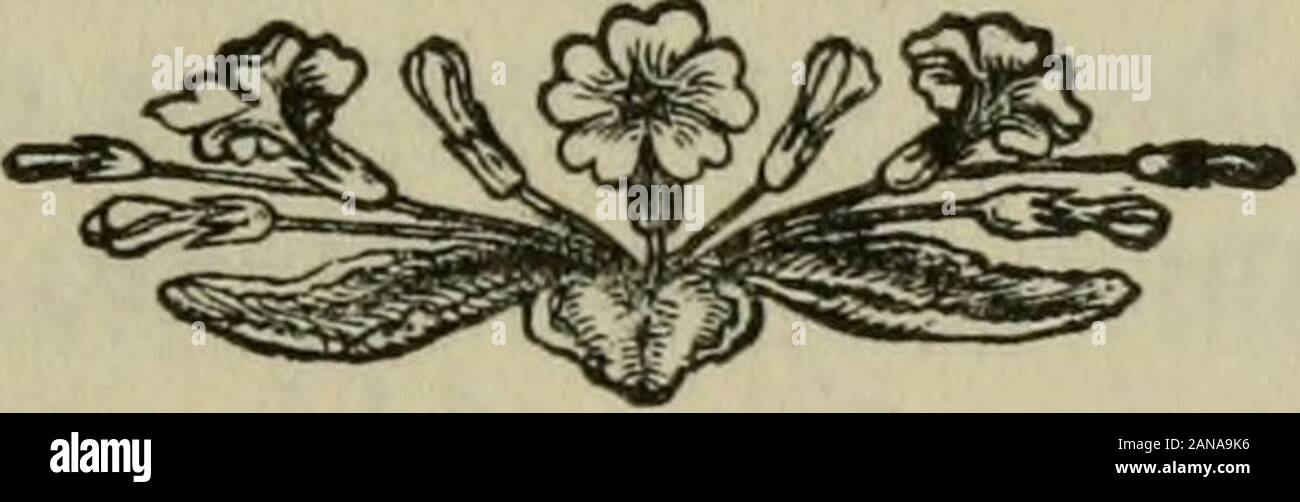 Una vita in canzone . n sevens,e toni che eseguire le scale di suoni e sfumature di colore.e sfere che veggenti hanno visto in cielo e hells.come questi hanno natura sembrano tutte le cose al gruppo,-per il conteggio delle formazioni profonde nelle rocce, preludio. 7 e le forme di vita, fino a sette realizzati ciascuno completo.Ay, uomo sulla terra ma sette volte dieci anni vissuti.e di tutti gli uomini attraverso sette fasi simili yetMight raggiungere humanitys grand sabato-tempo.e quello che hanno detto, che udirono queste parole, aveva askd.e aveva discussd la questione con i suoi compagni, potrebbe la mente e la materia poi in qualsiasi senseReveal essenziale unicità ? Ansv/ering che, perché Foto Stock