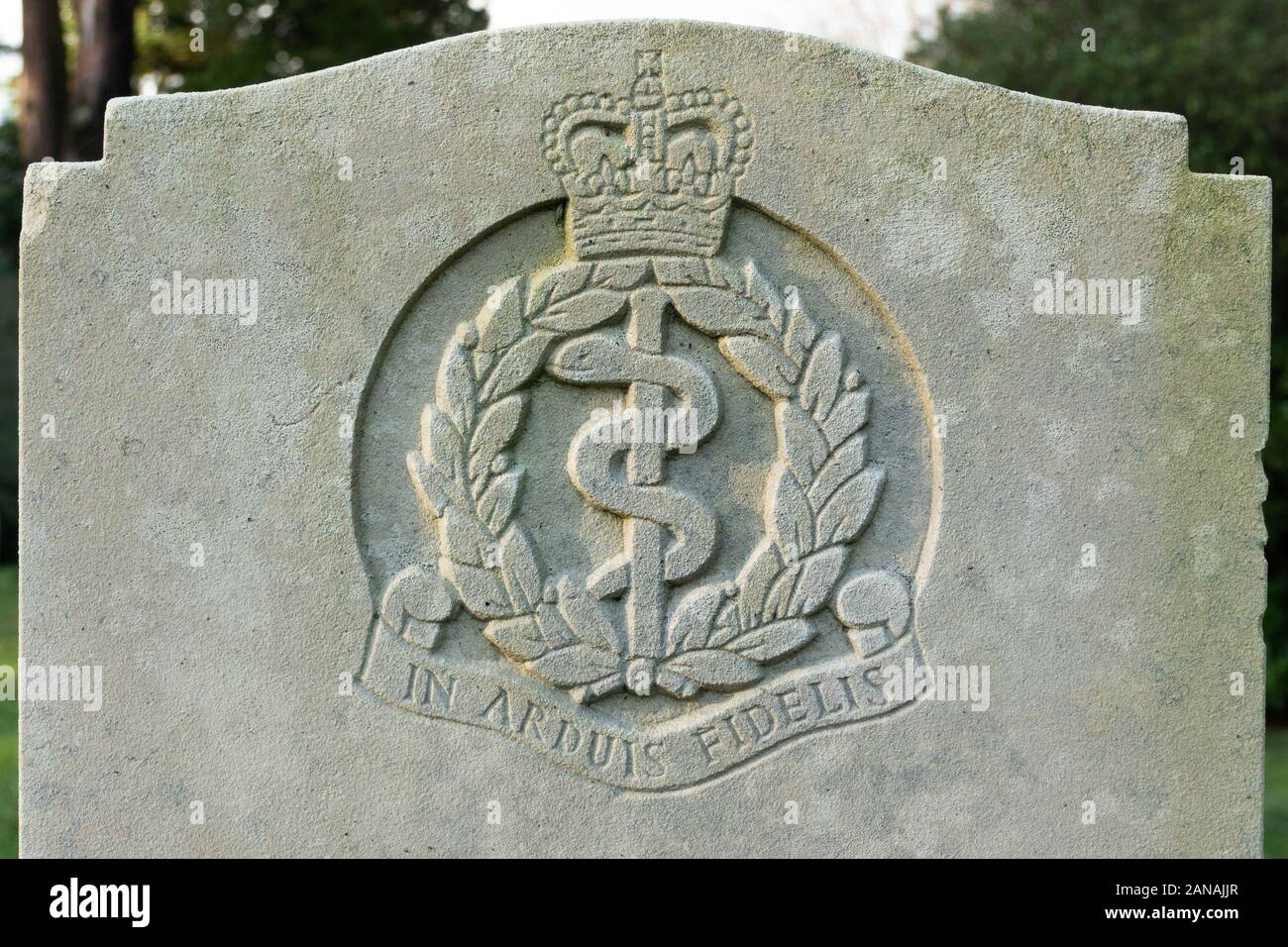 Royal Army Medical Corps regimental emblema distintivo di cresta su una lastra tombale militare o headstone, REGNO UNITO Foto Stock