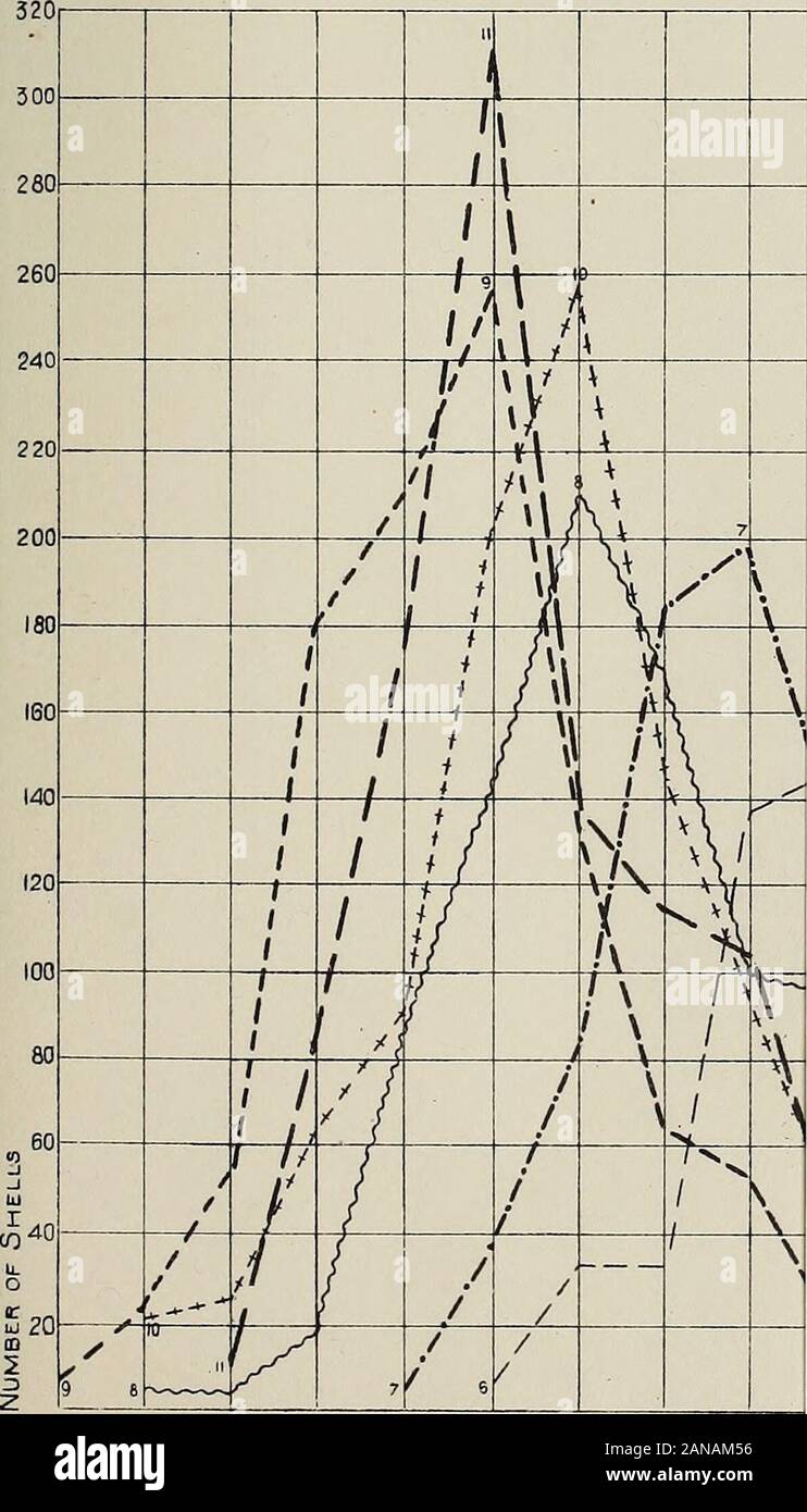 Le variazioni e distribuzione ecologica delle lumache del genere Io . .61 .65 .65 ,67 .69 .71 ,75 ,75 .77 grado di Globosity in per cento. JM 220 im im 160MO12010010"60 mi Imm - piastra 10 Globosity della Shell (SM/ indice)POWELL fiume t - 1 / 4  4 1 A ^ o o o GRoyPs 1-5 5 1 1 II N ^ Group S. ^^^^^ / 1 * 1 ^7 r * // h , t / / 1 IK , i ii / / 1 1 K k f / / / . ^ / / ;/ &gt; . J^ , I f 3 •x ?" V 5 , .6 .63 .65 .6!!!)E0REC0fGl08O3|T 7 60 .71 .7Y IN PER CENTO. 3 0,75 0,77 0,79 .81 .S3 0,83 87 .89 .91 0,93 0,95 Platt Globosity della shell (Shell Index)CLINCH RIVER Foto Stock