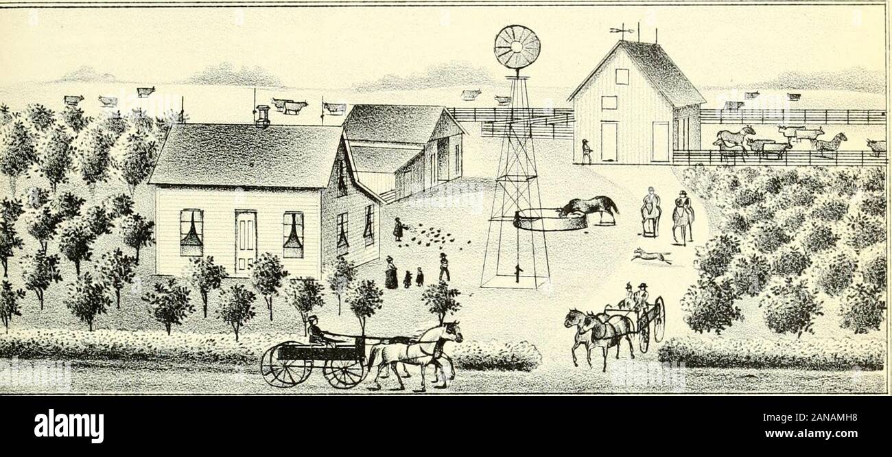 Ritratto biografico e album della contea di Marshall, Kansas : contenente la pagina completa ritratti e biografie di personalità e di rappresentante dei cittadini della contea, insieme con ritratti e biografie di tutti i governatori dello stato e dei presidenti degli Stati Uniti . farm dotata di comodo e suitablebuildings. Al suo arrivo qui fu withoutcapital e ha- non solo si è evoluta dal suolo dello stato di semi di girasole un confortevole soggiorno, ma l'uomo in età da stabilire da qualcosa di fora Rainy day. Un nativo di Tuscarawas County. Ohio, il sig. Mil-ler Pom è stato il 29 maggio 1837, e l Foto Stock