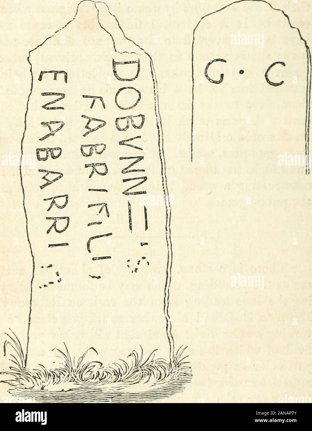 Una descrizione della parte di Devonshire confinanti con la Tamar e il Tavy; la sua storia naturale, modi, dogane, superstizioni, scenario, antichità, biografia di eminenti personalità, etcin una serie di lettere a Robert Southey . lato, sua altezza dimensionie wovdd naturalmente abbiamo consigliato inconstructing un grande ostacolo da cui regulatethe giochi pubblici. Vi è una pietra, probabilmente di circa il sameera come il precedente, che può essere trovata da seguire-ing il vicolo che conduce dalla roccia su KoboroughDown a Buckland Monachorum fino ad arrivare al aturning sulla destra che vi porterà a afie Foto Stock