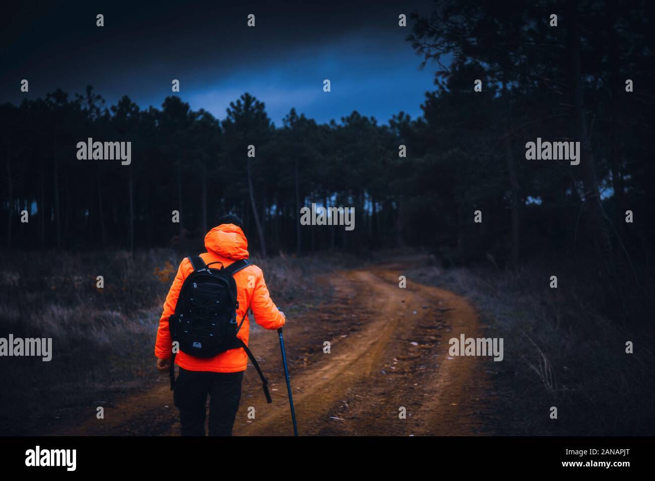 Un giovane avventuriero torna shot con contrasto camicia arancione camminando sul percorso alla giungla con cielo cupo sotto le nuvole drammatico Foto Stock