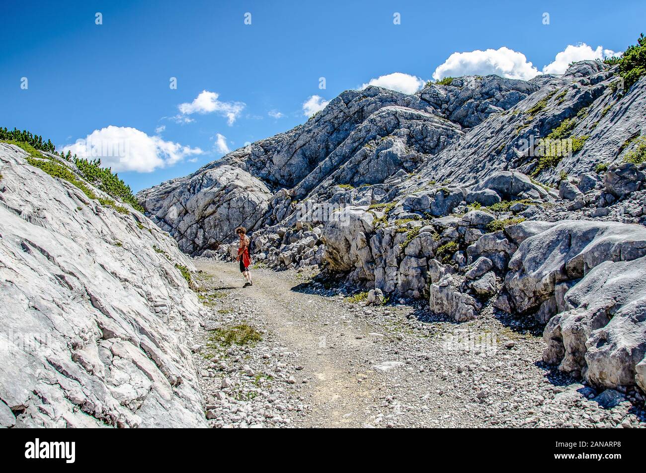 Il family-friendly Heilbronner sentiero circolare sul Dachstein gamma di montagna è particolarmente ideale per le famiglie e per i bambini che amano camminare. Foto Stock