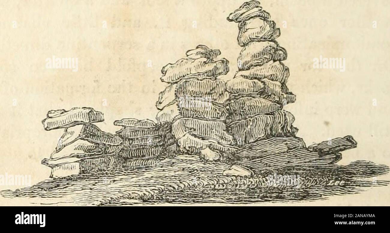 Una descrizione della parte di Devonshire confinanti con la Tamar e il Tavy; la sua storia naturale, modi, dogane, superstizioni, scenario, antichità, biografia di eminenti personalità, etcin una serie di lettere a Robert Southey . si mise a ridere l'idea. Come mai siamo determinati a salire la prima la più bassa, whichwe ha fatto senza alcuna difficoltà e scoperto su ita bacino, un piede e mezzo di diametro e uno footdeep. Questo, contrariamente a tutto ciò che avevano visto liitherto,era pieno di acqua sporca, che è stato probabilmente oc-sioned da decadeva moss. Sopra di esso appeso una loftierpile, che abbiamo risolto per salire più in alto come Foto Stock