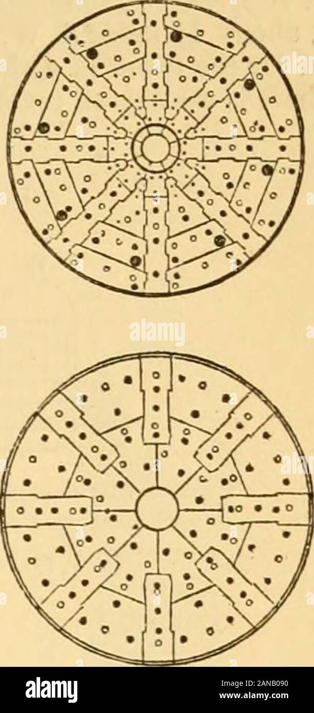 Appletons' encyclopaedia - Wikizionario di meccanica applicata: un dizionario di ingegneria meccanica e le arti meccaniche . Battuta MINOTS:. Stati Uniti. WOLF ROCK. In Inghilterra. Pollice CAPE BELL ROCK, SCOZIA.Scala:. Spettacolo REEF.STATI UNITI. grande tempesta nel 1703. Nel 1709 Rudyerd completato un'altra struttura di legno e ferro. Questo wasdestroyed da un incendio nel 1755. Nel 1756 Smeaton ha intrapreso la costruzione dell'edificio attuale,il quale è rappresentato in Fig. 2808. Egli decise di usare la pietra per il materiale e la forma del tronco di un albero di grandi dimensioni come il suo modello. Le pietre di un corso sono stati uniti da dovetailin Foto Stock