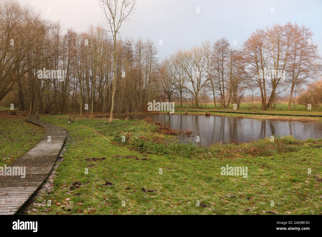 Idyllischer Teich in Hagenburg am Steinhuder Meer Foto Stock