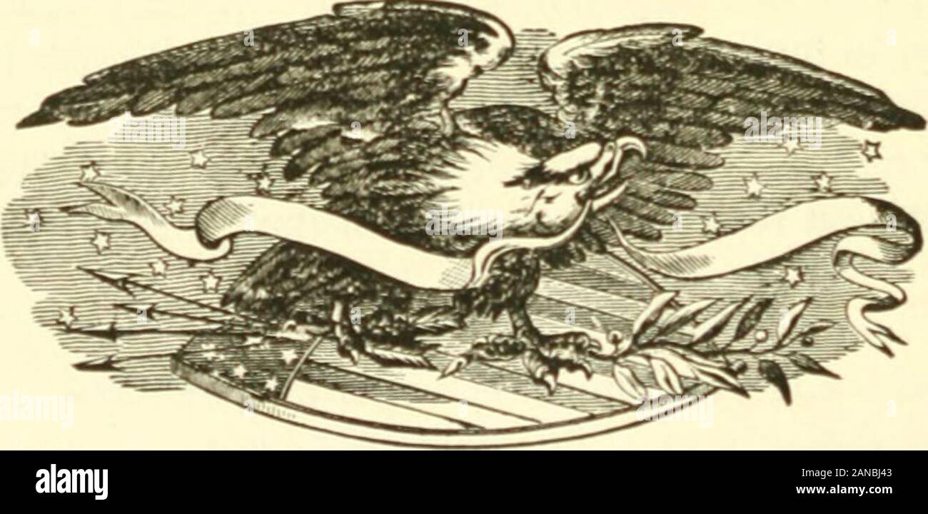 Riforma : un saggio sulla politica finanziaria e della condizione sociale degli Stati Uniti, che mostra i pericoli, difetti e rimedi . n dire e mantenere, thatdelegates per lo Stato federale e gli organi legislativi dovrebbero becalled a rigorosamente conto dai loro elettori se non riescono a performtheir sacri doveri in conformità con i principi adottati 230 CONCLUSIONE. nella piattaforma e con le pompose promesse e promisesgiven da loro. Nessuno di questi ritorno alle loro case afterbetraying la fiducia in lui riposta da un credulone ma ben significato le persone che per paura del popolare indignazione e personalpuni Foto Stock