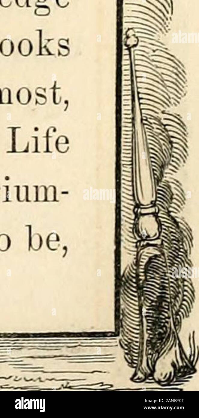 Relazione della Commissione delle disposizioni del Consiglio Comune di New York, del obsequies in memoria dell'Argilla HonHenry . Foto Stock