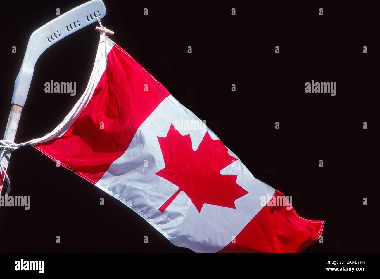 Bandiera canadese attaccato ad un ice hockey stick Foto Stock