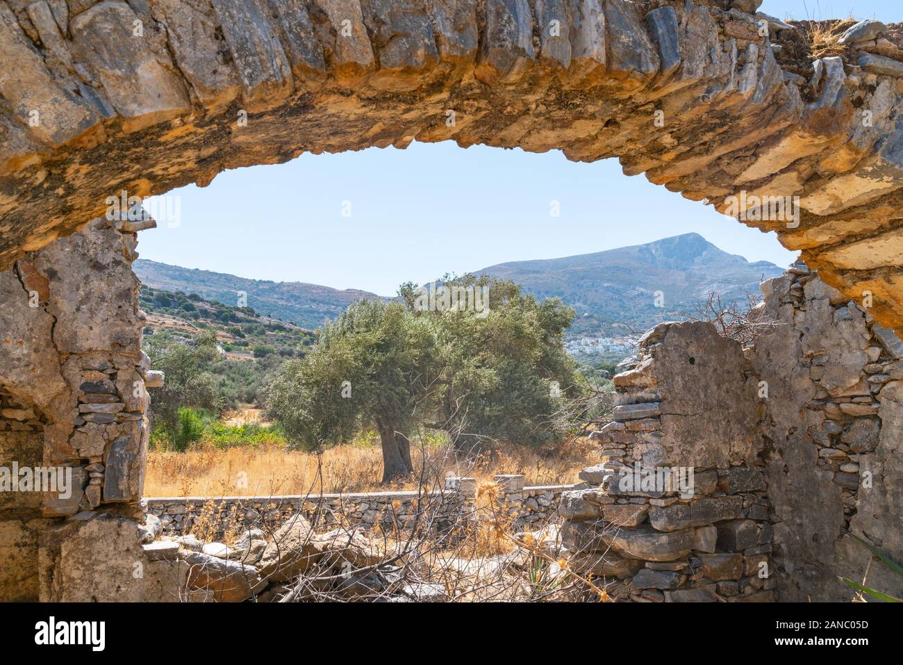 Antico arco in pietra amonst rimane anticate in giù la struttura attraverso la quale al di là di alberi di olivo è il monte Zeus la montagna più alta di Naxos. Foto Stock