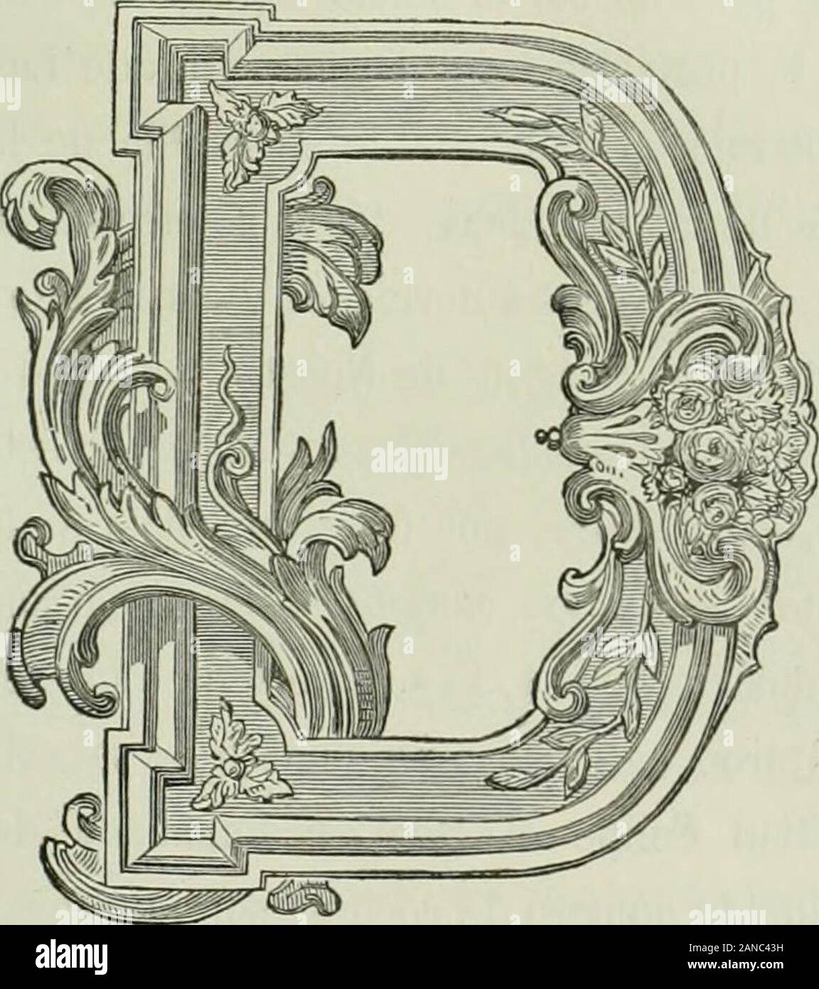 Cerdena Immagini E Fotos Stock Alamy