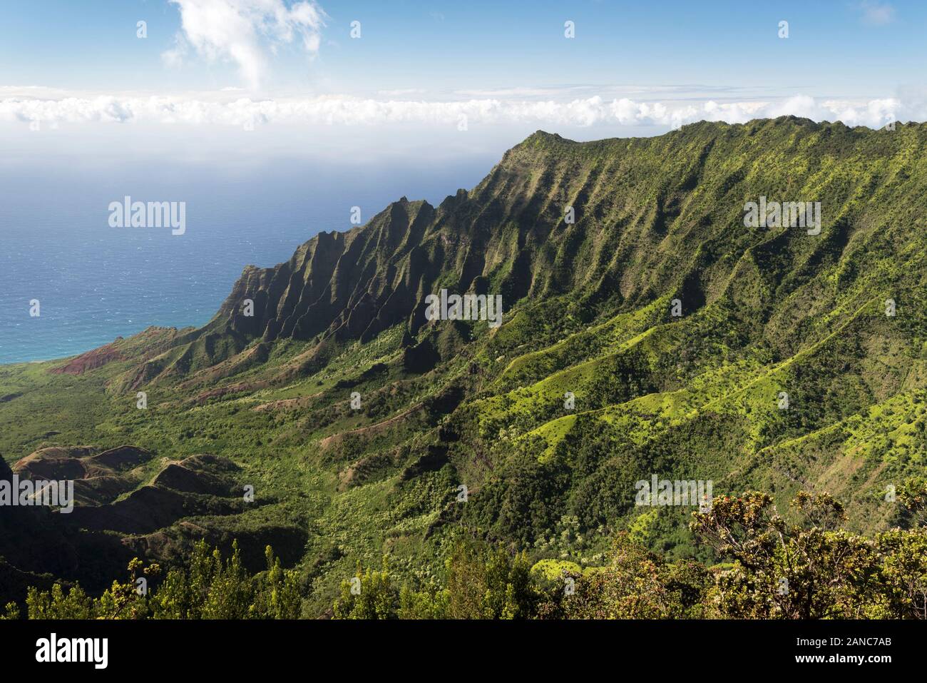 La Valle Kalalau, che si apre con una vista dell'Oceano Pacifico sulla Nā Costa Pali, Kauai Hawaii. Foto Stock