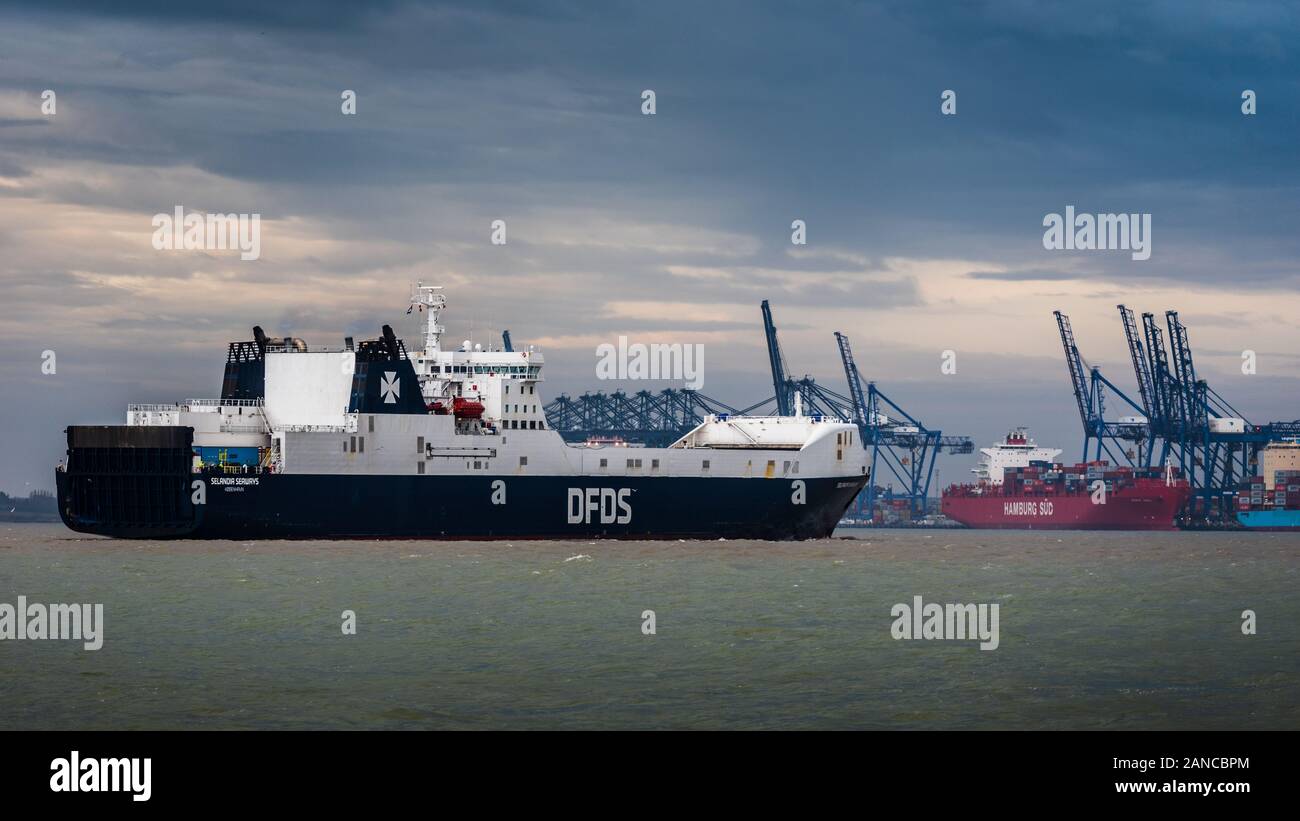 DFDS traghetto roll on-roll off Sealandia Seaways arriva al porto di Felixstowe. Foto Stock