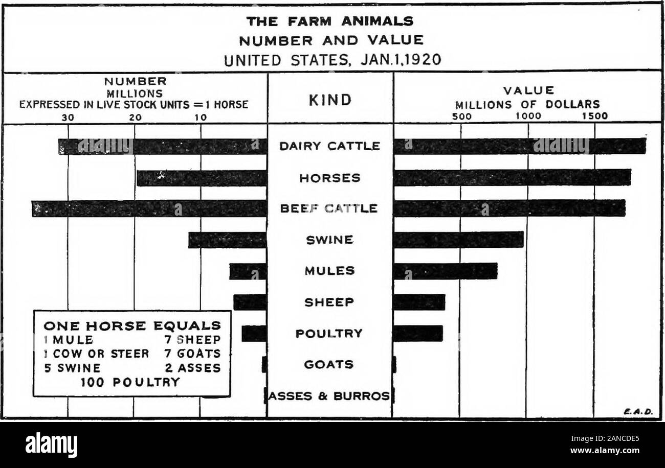Un riepilogo grafico dell'agricoltura americana, in gran parte basato sul censimento del 1920 ... . 643,4133.0512,9622,3902.3472,2402,1561,91313.725 ACRI DI STATO MEMBRO ACRI ! N. Y. .I M[ch. N.J... Mm. Mo. ..1 III. . 15.54012,97310,3458,1978,1236,230 Oreg.. Ohio..Pa....Wuh.Wii... 5,651 5,6365.2754,6724.3474:339 ^ .y U.S... 129,689 Fig. 71.-i centri delle superfici di mirtillo palustre sono Cape Cod Massachusetts, Sud del New Jersey,e central Wisconsin-tutti i distretti di sabbia, paludosa, suoli di acido. I centri di bushfruit acri sono meridionale del New Jersey ; la Marlboro nel quartiere la Hudson Valley ofNew York • Il quartiere est un Foto Stock