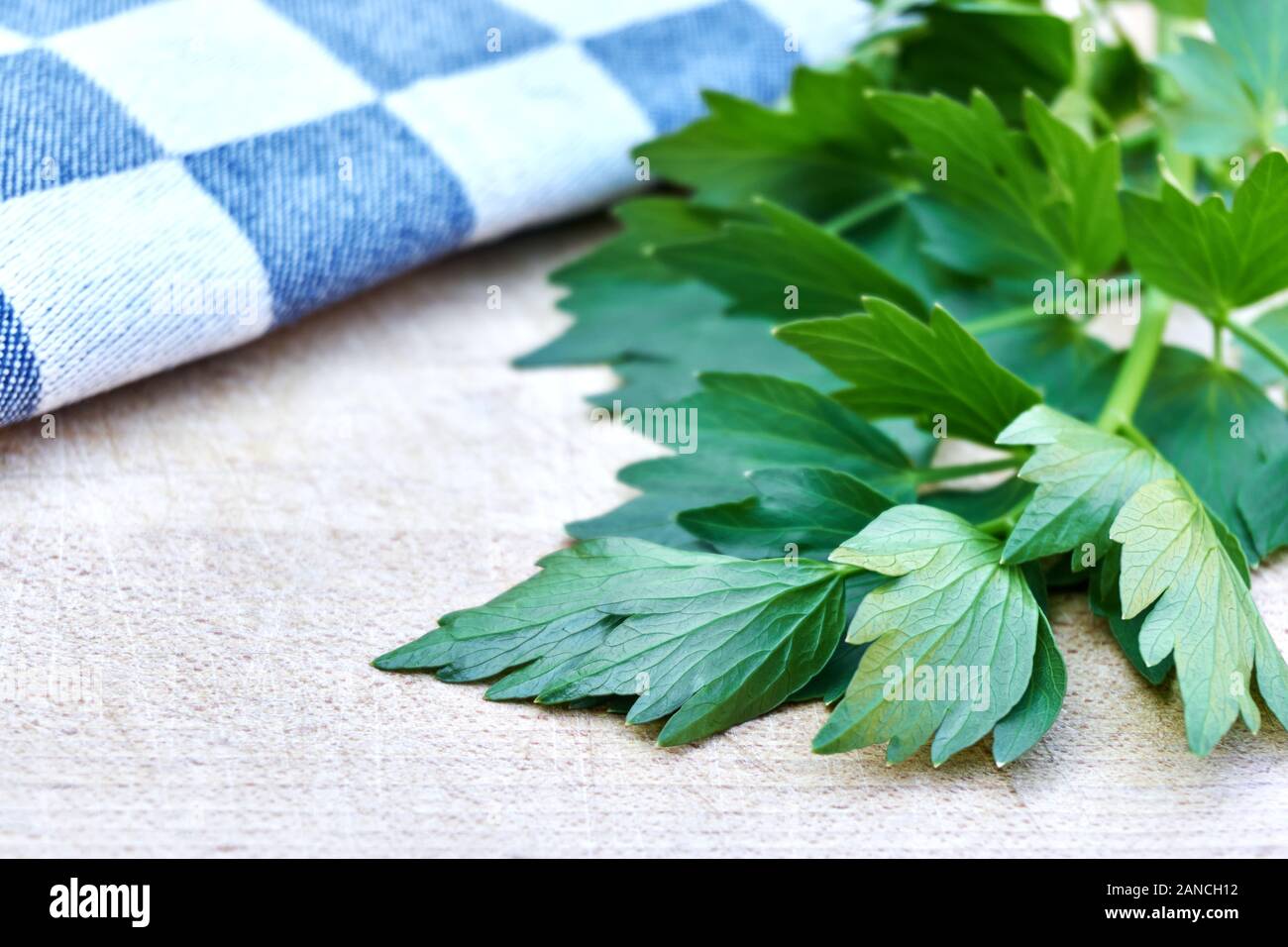 Fresco di taglio verde lovage e bianco blu panno a scacchi per piatti su tagliere di legno Foto Stock