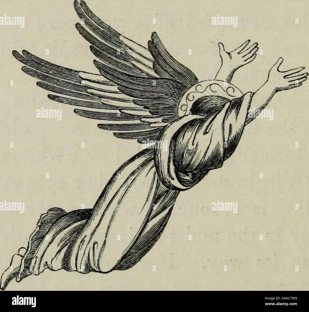 Le leggende della Madonna, come rappresentato nella fine artsForming la terza serie di sacro e leggendaria arte . ivides questo gruppo da laparte inferiore dell'immagine, dove montato su una piattaforma,supporto o inginocchiarsi custode santi di Bologna: in ilcentro, il benevolo San Carlo Borromeo, che iust circa Lunedi • • 1 1 1 1 1 1 • Ordini. che Il tempo era stato canonizzato e aggiunti alla lista di thepatrons di Bologna da un decreto del senato; sulla destra,San Dominick e san Petronio; sulla sinistra, San Procolo e " & l. Art.St. Francesco. Questi santi personaggi guardano come se adjuring G 2 44 LEGEN Foto Stock