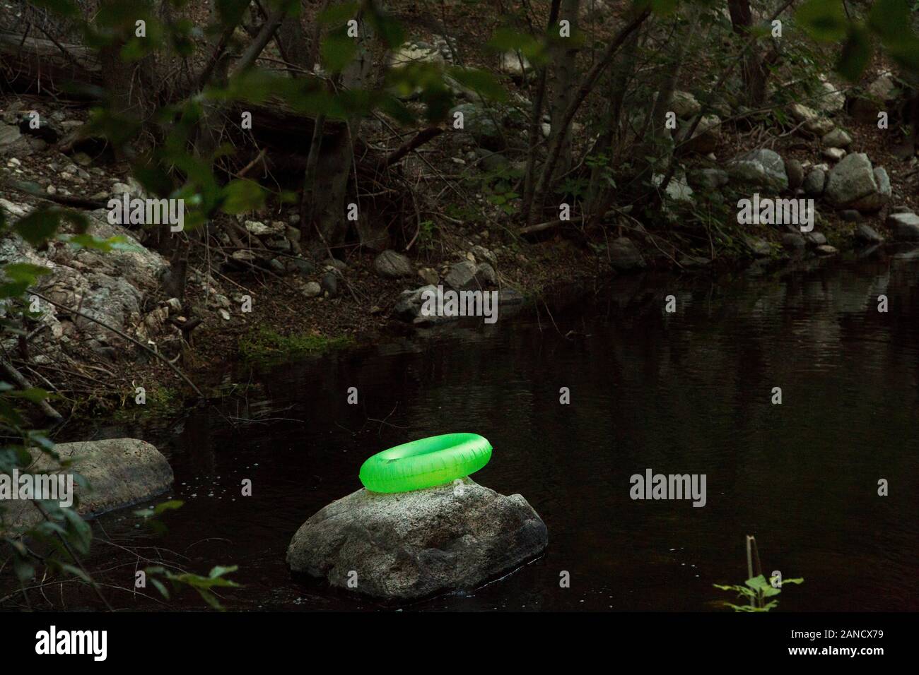 tubo interno verde su roccia in una foresta piscina buco Foto Stock