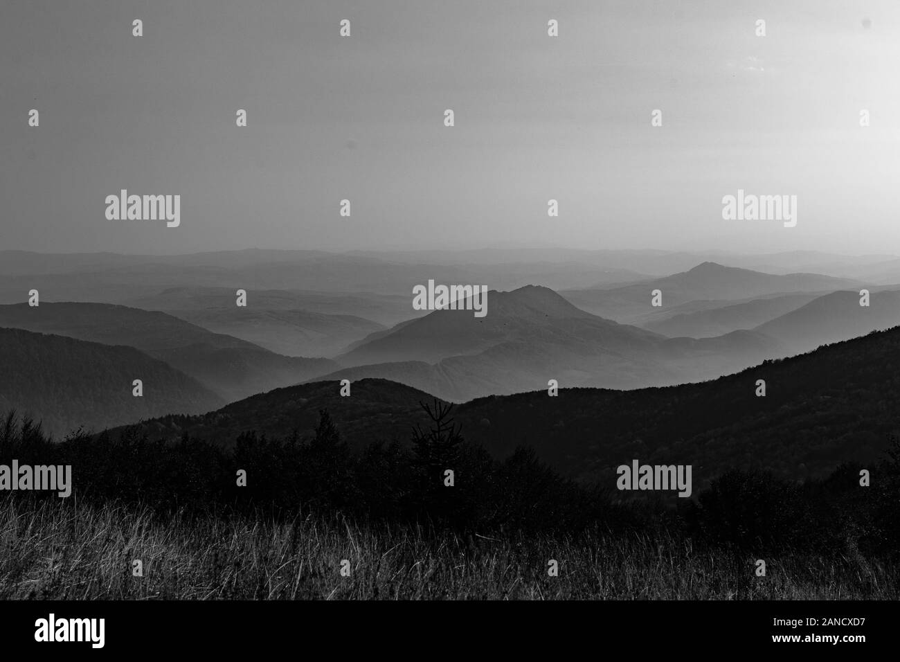 Paesaggio bianco e nero dei Monti Carpazi Foto Stock