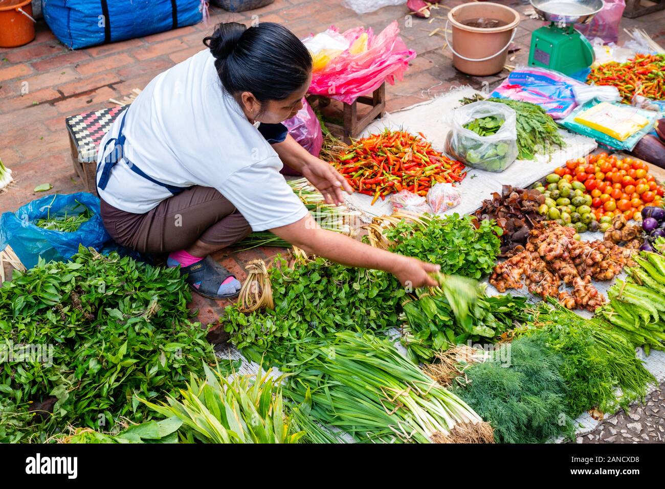 Immagini dal mercato mattutino, Luang Prabang, Laos. Foto Stock