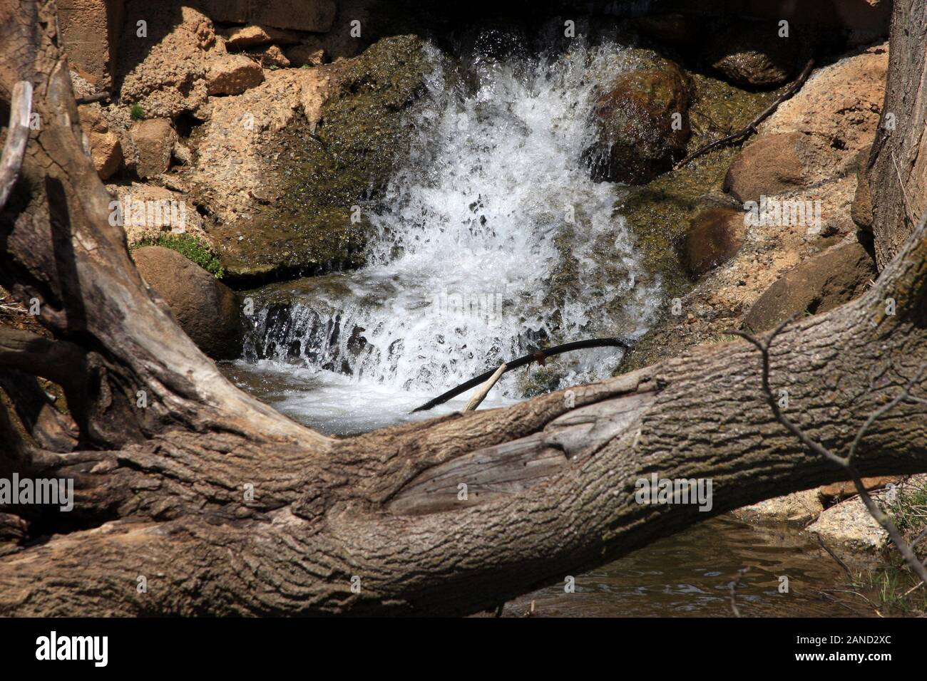 Mountain Creek della piccola cascata. Virginia, Stati Uniti d'America. Foto Stock
