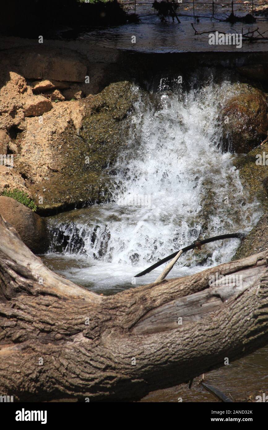 Mountain Creek della piccola cascata. Virginia, Stati Uniti d'America. Foto Stock