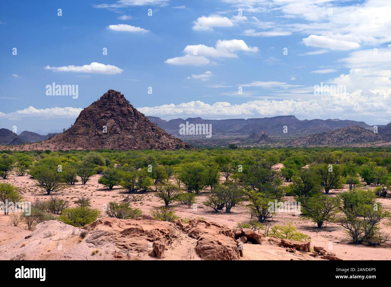 Arib scrub deserto,paesaggio secco,Ugab Valley,Damaraland,Namibia,RM Africa Foto Stock