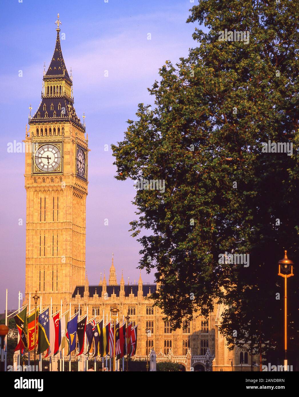 Big Ben (Elizabeth torre) dalla piazza del Parlamento, City of Westminster, Greater London, England, Regno Unito Foto Stock