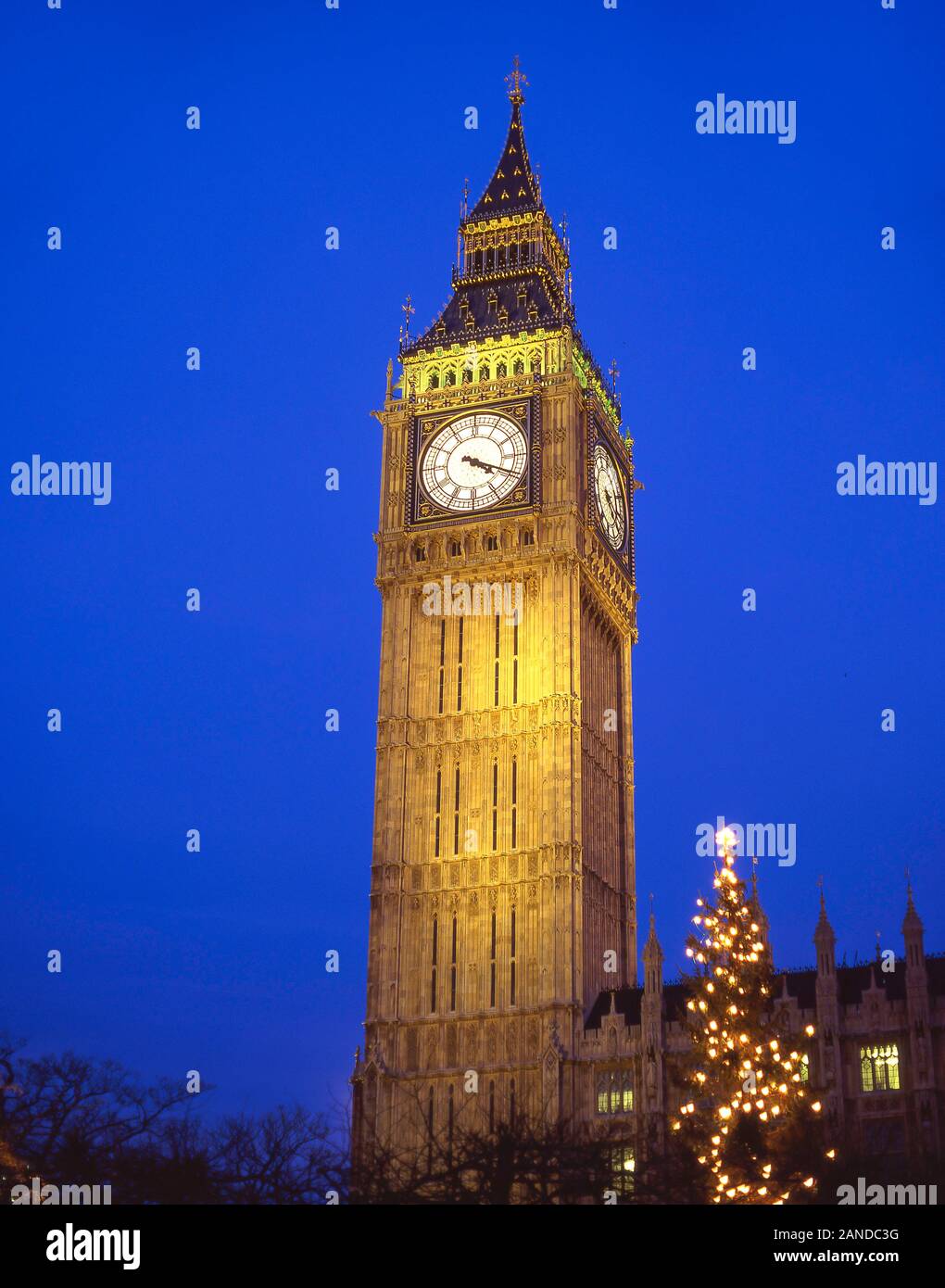 Big Ben (Elisabetta La Torre) e albero di Natale da Piazza del Parlamento, City of Westminster, Greater London, England, Regno Unito Foto Stock