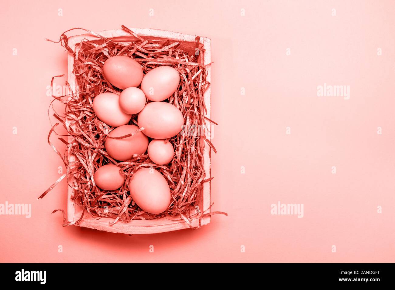 Le uova in un vassoio bianco Creative concetto di Pasqua. Solido moderno sfondo rosa. Orizzontale. Coralli viventi tema - colore dell'anno 2019 Foto Stock