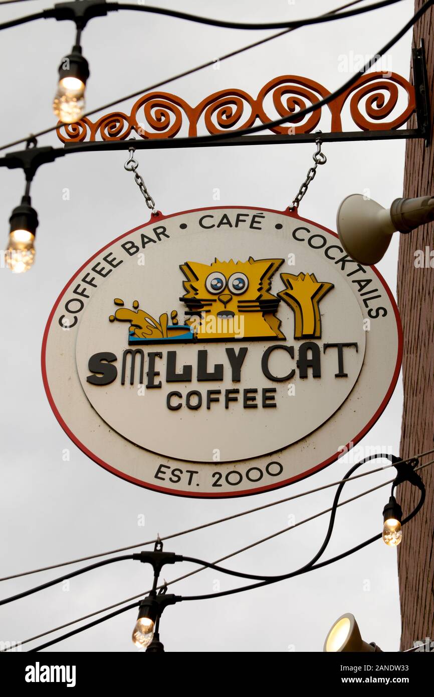 Smelly Cat Coffee House di Charlotte NC Foto Stock