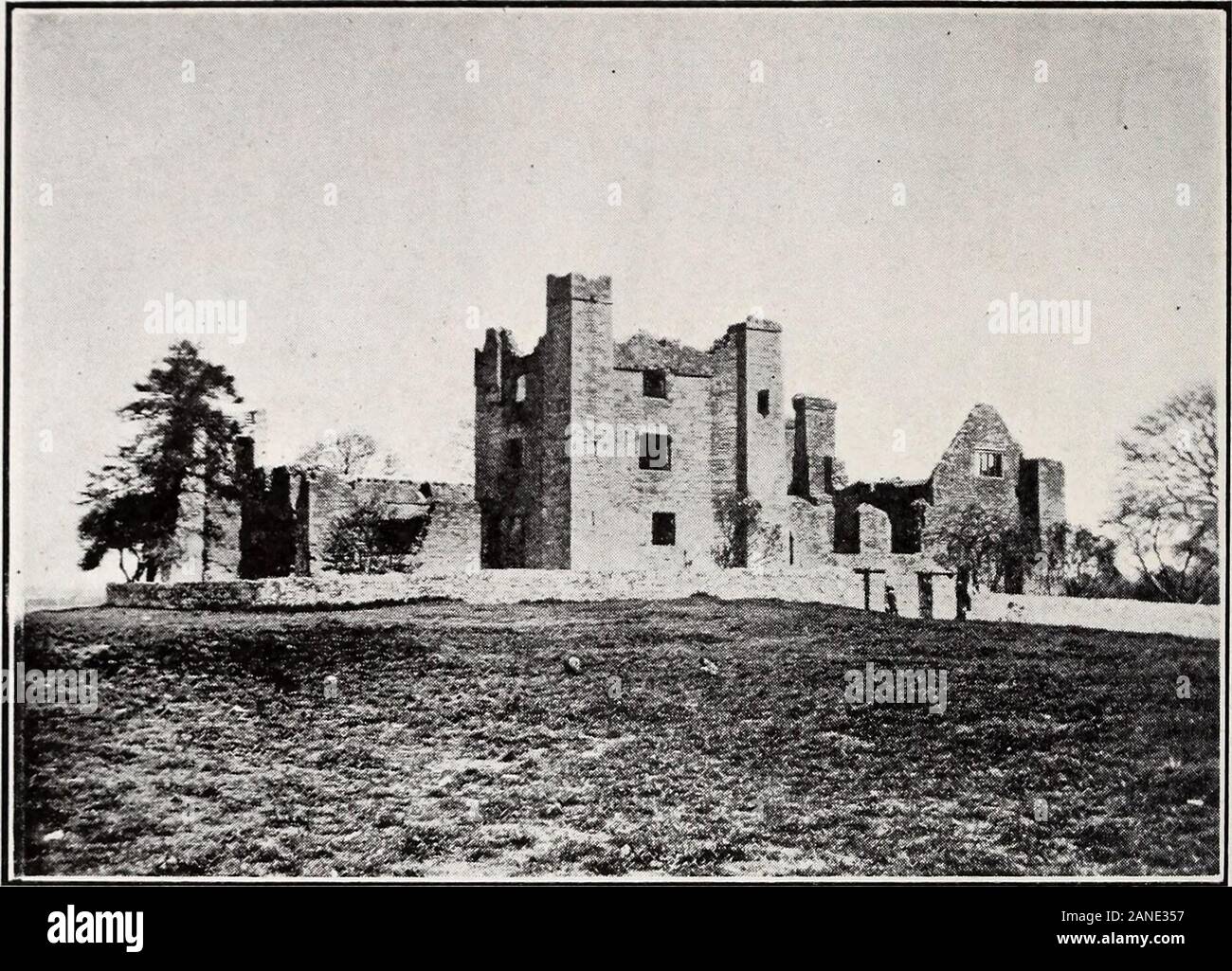 Ufficiale della Royal Society di antiquari di Irlanda . Egli è stato privato del suo appointmentand gettato in prigione Flete a Londra circa 1554, andappears rimaste lì per circa sei anni almeno. In 1552fu concessa una licenza di alienare i beni Bective toRichard Dillon di Pertiston, John Wycombe di Dublino, e l'altro,4e nel 1558, Jacques Wingfelde era l'agricoltura le terre per theQueen.5 Wyse sposato Anne, la Contessa Dowager di Sussex, il primo, anddivorced, moglie del secondo conte di Sussex, chi era signore Deputyof Irlanda in Queen Mary Regno. Le circostanze della sua rele Foto Stock