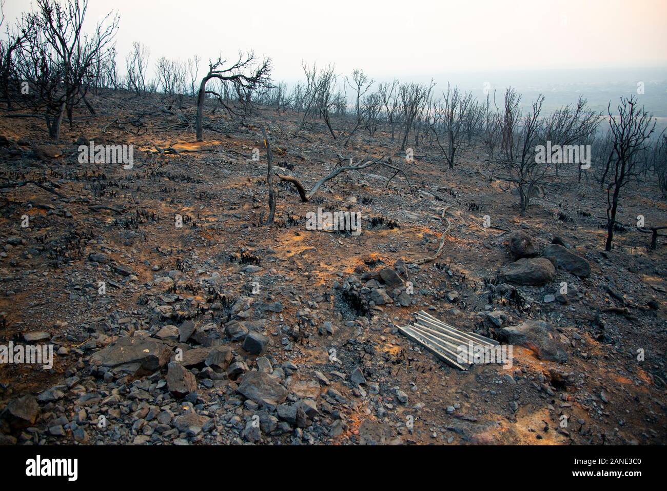 Bush Fire devastazioni in Australia Foto Stock