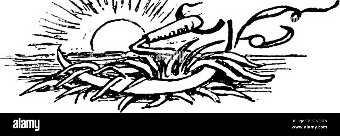 Dubbio e altre cose, versetto e illustrazioni . ey formano il tessuto profondo della vite a sognare.primitiva mostri della Lena mente.Esse vagano in grande libertà unconfinedThrough la sommessa orologi del solitario notte,con cupo di domande il nostro animo triste affright. Vieni, dolce Alba-portare il fresco respiro del giorno,aprire la finestra-lasciate nell'allegro luce,e guidare questi paurosi mostri tutte lontano. ^?^ [208] digitalizzato mediante Microsoft® autunno gli uomini vecchi dire- che i giorni felici devono ancora trovare in autunno.Quando gli scoiattoli fruscio tra le foglie,che golden grain devono ancora trovare nella lunga furrowsLeft ag Foto Stock